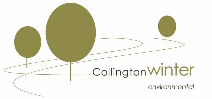 collington winter